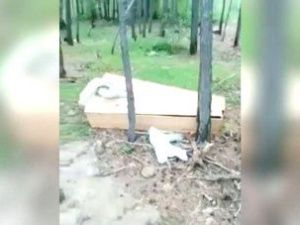 По факту обнаружения несанкционированного кладбища под Якутском следователями проводится доследственная проверка