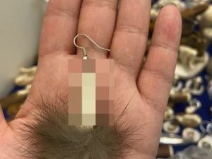 Дизайнер скандальных сережек в виде фаллоса стал персоной нон-грата