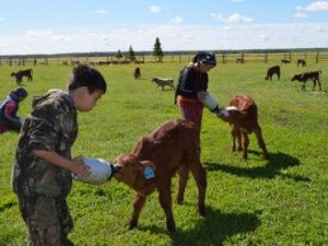 Айсен Николаев поздравляет с Днём сайылыка
