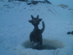 Как надо гадать в Танха – месяц якутских предсказаний