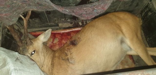 В Намском районе полицейские задержали браконьеров