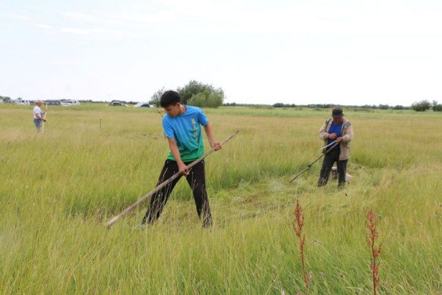В Хангаласском улусе прошли соревнования сенокосчиков