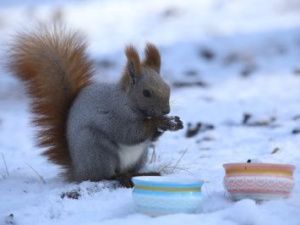 Тёплый воздух из Казахстана согреет якутян