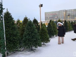 Обзор цен на искусственные ёлки в Якутске