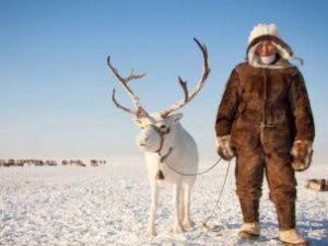 Оленеводы из Якутии пройдут обучение в Норвегии