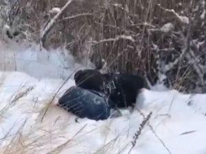 В Якутске дети нашли замерзшего мужчину?