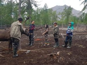 Битва с медведем, роды в чуме и другая цивилизация: история династии оленеводов Погодаевых