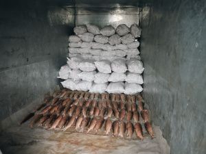 Айсен Николаев встретился с потомственными рыбаками крупного производственного кооператива в Русском Устье