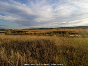 Владельцы «дальневосточных гектаров» в Якутии должны подать декларации об освоении земли​