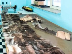 В исправительной колонии № 6 осужденные шьют изделия из меха 