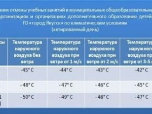 В Якутске — минус 48. Отменены занятия в школах для учеников 1-8 классов