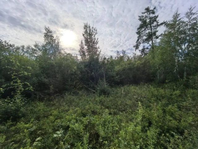 Пропавшего жителя села Тюбятцы нашли живым в Намском районе