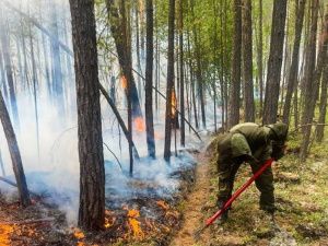 На территории Якутии действуют 68 природных пожаров