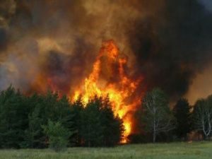 Житель Якутии обвиняется в возникновении крупного лесного пожара