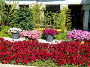 Награждение победителей конкурса "Зеленый кубок столицы 2025" прошло в Парке Победы