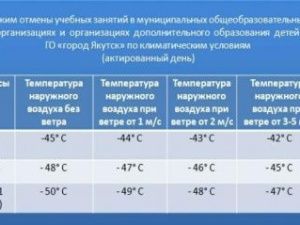 В Якутске минус 42 градуса: учатся все школьники