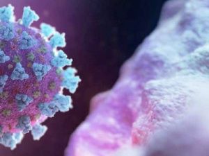 Ответы на часто задаваемые на прямую линию вопросы о коронавирусе