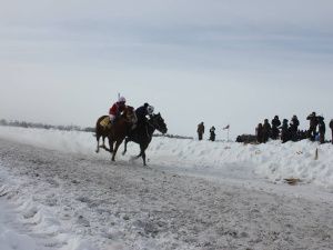В Якутии дан старт мероприятиям, посвященным Дню коневода-табунщика