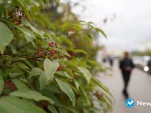 Прогноз погоды в Якутске на вторник, 20 августа