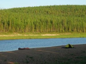 "Попросил бы штабы кандидатов в Амге не увлекаться педалированием этой темы", - Айсен Николаев о вырубке амгинского леса