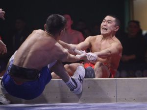 Мегино-Кангаласский улус завоевал Кубок Федерации по мас-рестлингу на вечное хранение