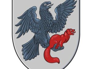 Управление муниципальных инспекций: что нужно знать о выдаче разрешения на строительство жилого дома