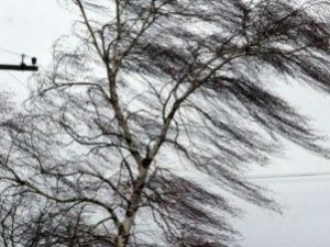 Якутск и ряд районов Якутии будут и в четверг во власти непогоды