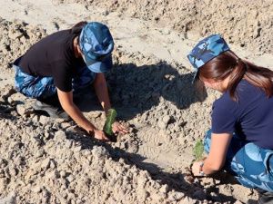 Сотрудники уголовно-исполнительной инспекции УФСИН приняли участие во Всероссийском экологическом субботнике «Зеленая Россия»