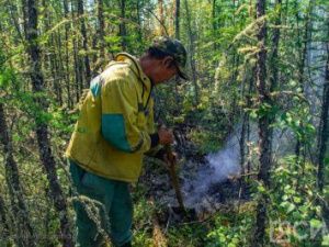 За прошедшие сутки в Якутии ликвидировано 6 лесных пожаров