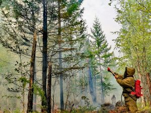 Предприниматели объединяются в тушении лесных пожаров на территории Хангаласского улуса