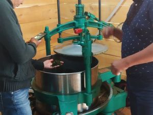 Компания «СахаЧай» открыла новый цех по производству чая