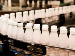 Полностью уничтожена из-за нарушения санитарных норм молочная продукция сельхоз предприятия «Майа»