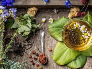 Экспортеры Якутии в ближайшее время будут представлены в бондовой зоне Харбина