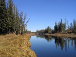 Спасатели ведут поиски троих утонувших