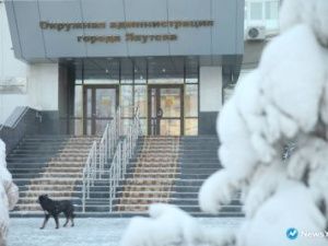 В Якутске пункт передержки животных могут передать общественному фонду