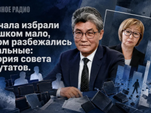 Сначала избрали слишком мало, потом разбежались остальные: история совета депуnатов