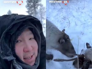 Госканал выдал «желтую струю» в эфир. Кто виноват?