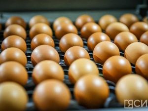В Россию поступила вторая партия яиц из Азербайджана