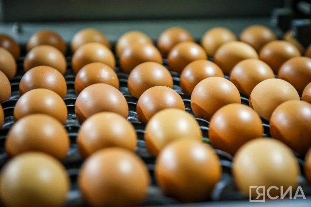 В Россию поступила вторая партия яиц из Азербайджана