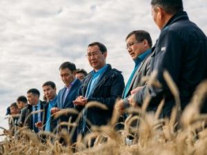 «Больше мяса, молока, овощей и яиц: Айсен Николаев подписал указ о сельском хозяйстве