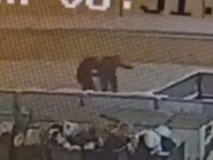 В Якутске задержали подозреваемого в грабеже в отношении 75-летнего пенсионера-инвалида