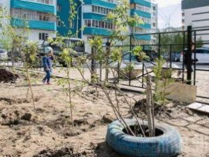 В Якутске посажено более 2 тысяч деревьев