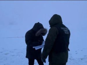 В суд направлено уголовное дело о халатности, приведшей к гибели женщины в результате нападения безнадзорных собак