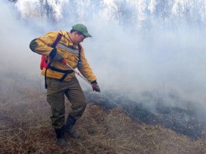В Якутии начались первые лесные пожары