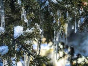 Прогноз погоды в Якутске на 12 марта