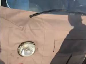 В Якутске застрелили двух собак. Хозяйка утверждает, что это произошло во дворе частного дома