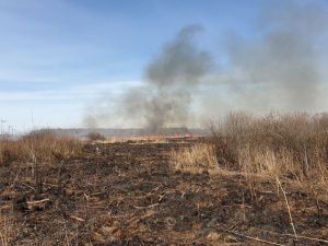 В Абыйском районе тушат ландшафтный пожар