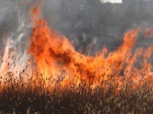 Причиной ландшафтного пожара в Верхоянском улусе стали сельхозпалы