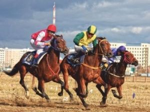 Великой Победе будут посвящены конные скачки. 