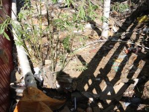 В Промышленном округе проверяют работу управляющих компаний